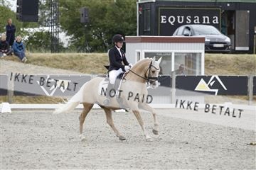 166078_rhj_01__J7R2790.JPG