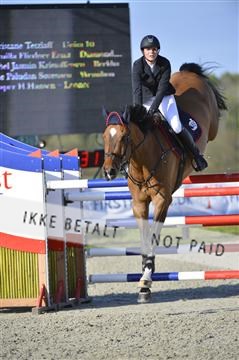 139644_abo_02__AB14894.JPG