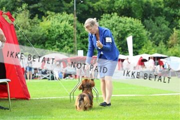 181564_rin_02_R62_1275.JPG