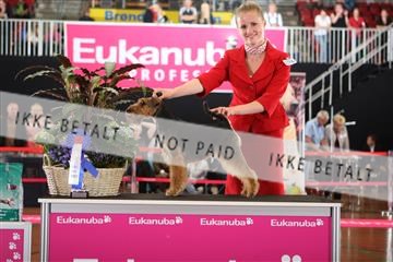 6068_ma_05_IMG_5689.JPG