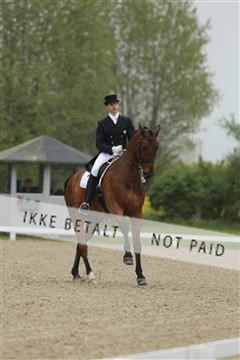 139835_sg_02_IMG_8548.JPG