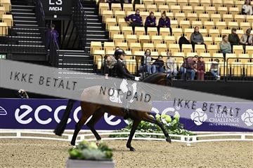 182194_kbb_03_Z099971.JPG