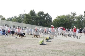 181848_kar_01__62_3702.JPG