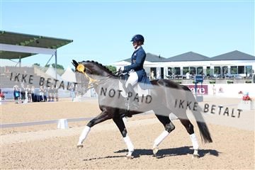 181726_mlm_01_R62_9488.JPG