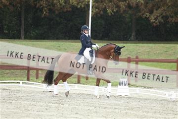 181923_mtp_04_R62_8953.JPG