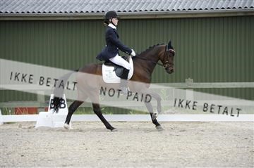 139898_ms_01__MS27603.JPG