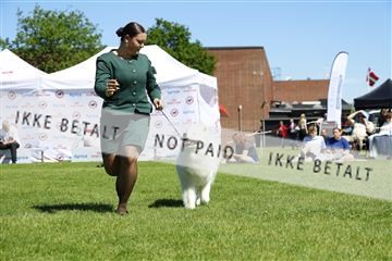 181564_kar_01__62_8450.JPG