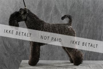 128239_le_kort_ 01_0322.JPG