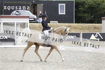 166078_rhj_01__J7R2752.JPG