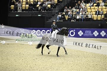 182194_kbb_02_Z099222.JPG