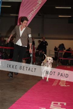 133496_tl_01_IMG_1899.JPG