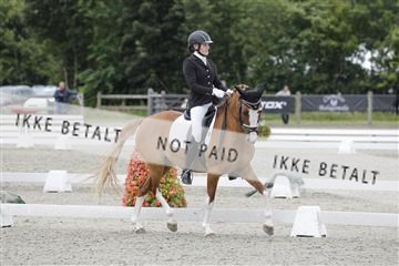 166078_rhj_01__J7R3334.JPG