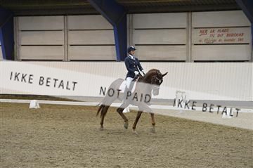 140040_abo_01__AB17911.JPG