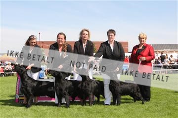 130370_se_02_IMG_6321.JPG