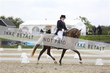 156196_nn_01_IMG_5362.JPG