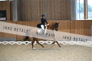 182176_kbb_01_Z093898.JPG