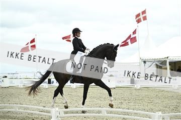 181449_kbb_03_Z091990.JPG