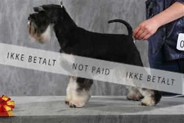 128239_le_kort_ 01_0393.JPG