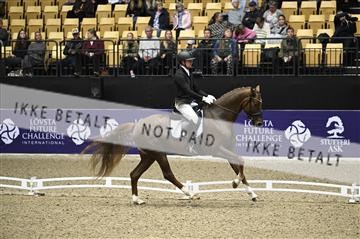 182194_kbb_01_Z097011.JPG