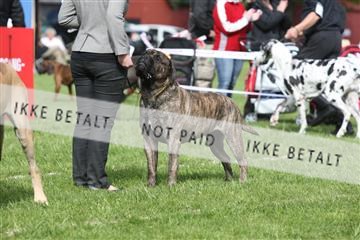 134871_ms_04_IMG_1139.JPG