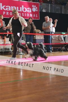 6068_ma_05_IMG_5747.JPG