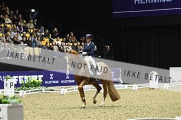 182194_kbb_03_Z091860.JPG