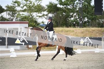 166078_kuo_02_D05_8738.JPG