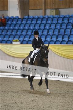 139403_ms_01__MS18282.JPG