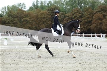181923_mtp_01_R62_6756.JPG