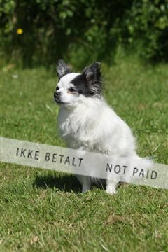 130370_se_03_IMG_7108.JPG