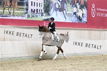182241_kbb_01_Z094297.JPG