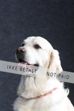 132082_le_ 01_IMG_0318.JPG