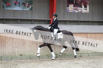 181867_mtp_02_R62_4844.JPG