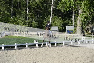 139898_ms_02__MS28886.JPG