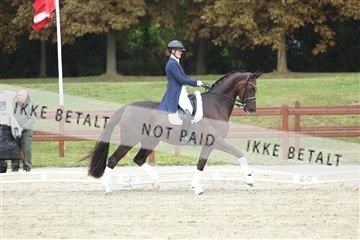 181923_mtp_04_R62_8984.JPG