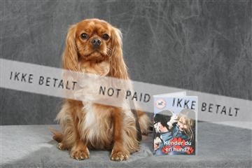 130054_le_ 01_0195.JPG