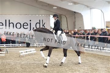 174363_kbb_01_R6II8002.JPG