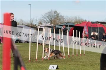 124188 _tl_02_IMG_9475.JPG