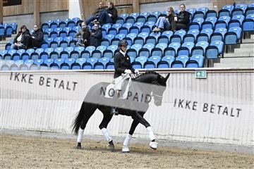 182241_kbb_01_Z093381.JPG