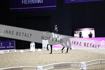 182194_avh_07_3949.JPG