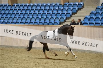 139327_abo_01__AB10514.JPG