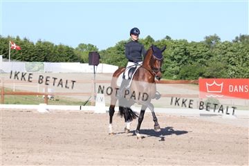 181449_bc_01R62_6186.JPG