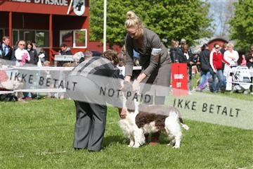 134871_ms_04_IMG_0678.JPG