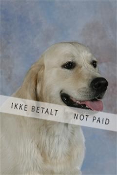 5493_sme _03__MG_9857.JPG