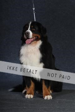 132082_le_ 01_IMG_0875.JPG