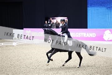 182194_avh_05_2103.JPG