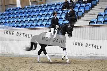 182241_kbb_01_Z095123.JPG