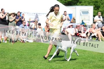 181564_rin_02_R62_2612.JPG