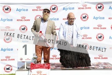 181564_kar_01__62_7022.JPG