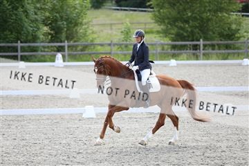 172030_mtp_01_3M5A2508.JPG